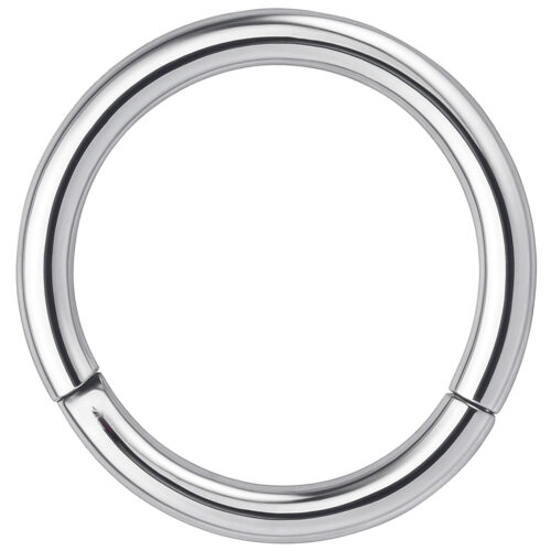 Hinged Segmentring