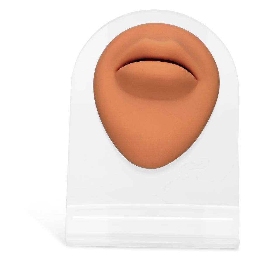 Body Bit Big Mouth Body Bit Big Mouth