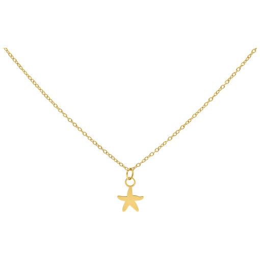 Little Starfish Chain