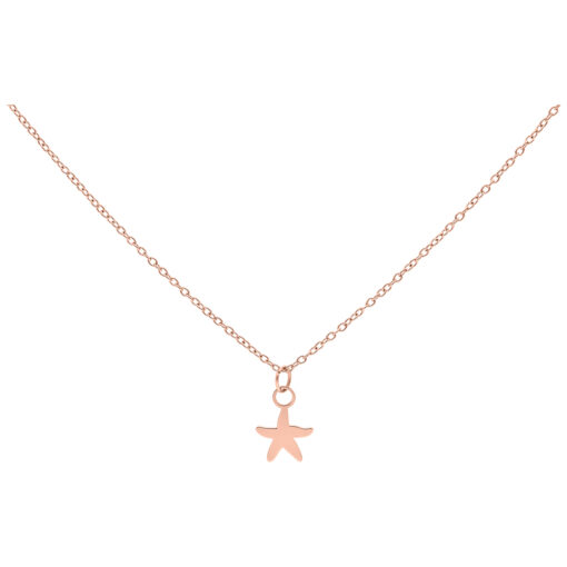 Little Starfish Chain