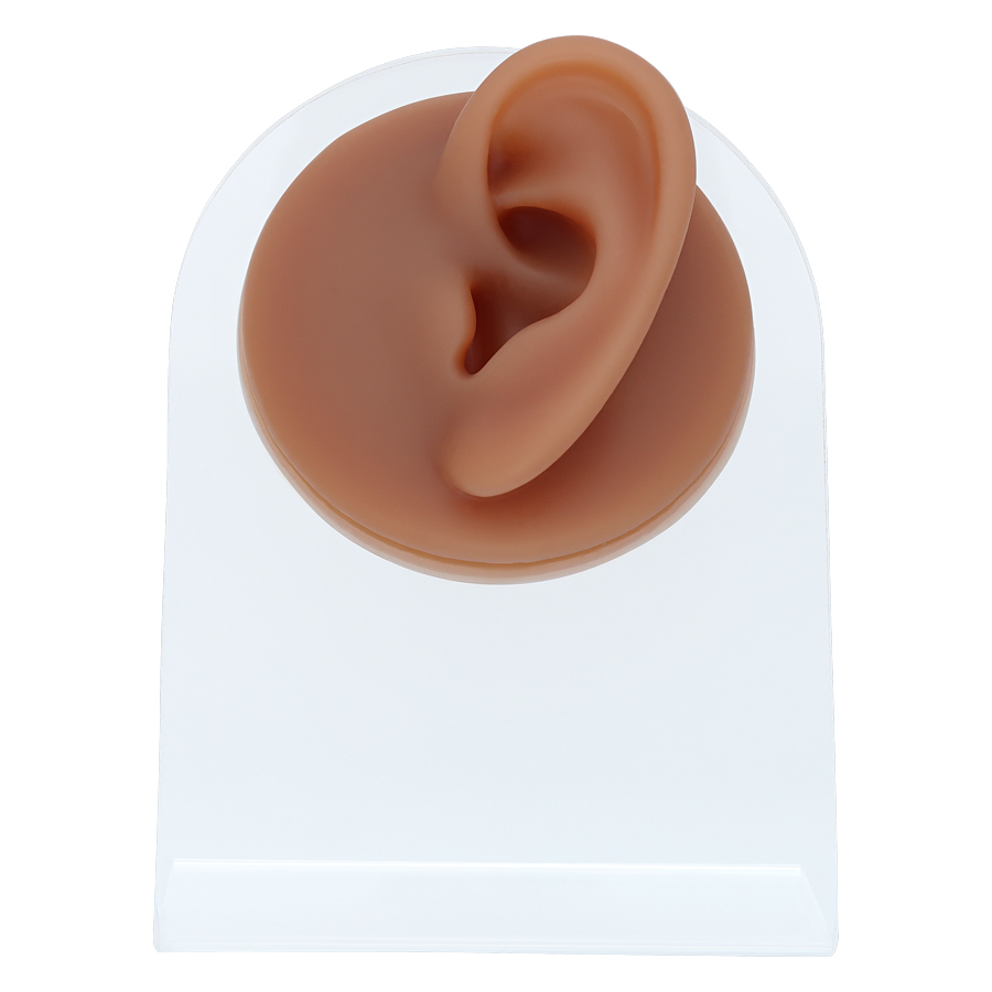 Body Bit Ear Body Bit Ear