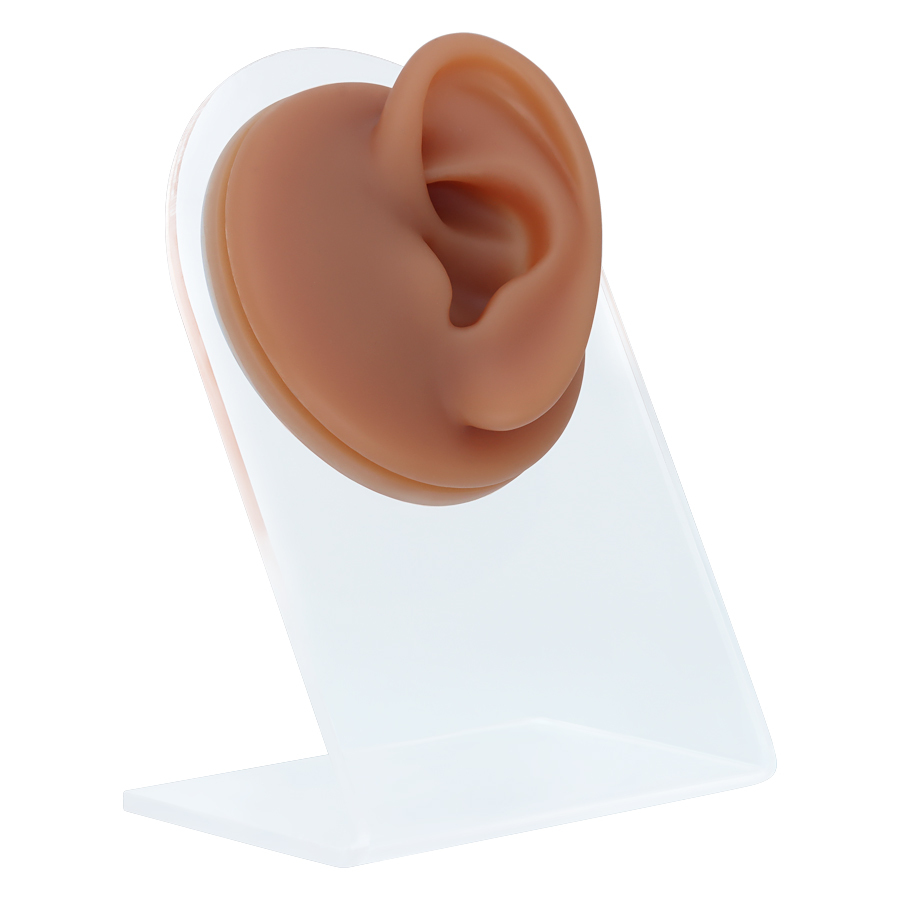 Body Bit Ear Body Bit Ear