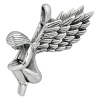 Fallen Angel
