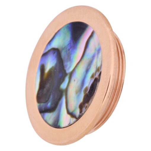 X-Change Abalone