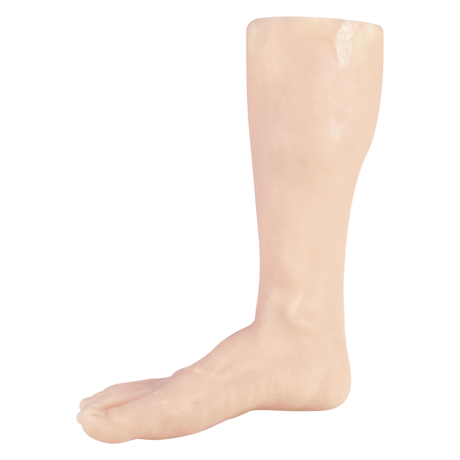 Tattoo Übungsbein aus Silikon, rechts Beiges Silikon-Tattoo-Übungsbein auf weißem Hintergrund