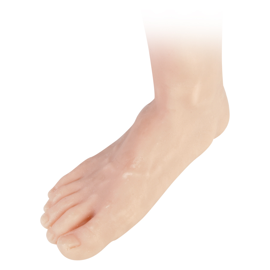 Tattoo Übungshaut Bein rechts aus Silikon, beige Beige Silikonbein für Tattoo-Übungen auf weißem Hintergrund