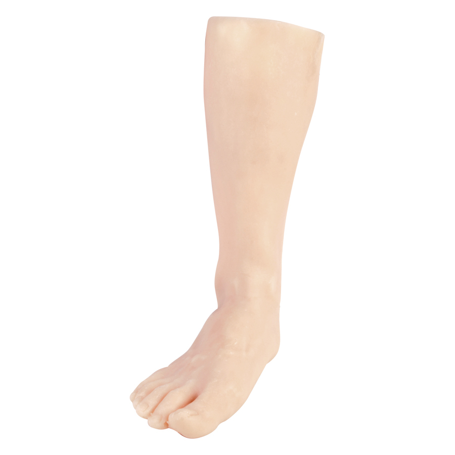 Tattoo Übungsbein aus Silikon in Beige Beiges Tattoo-Übungsbein aus Silikon auf weißem Hintergrund