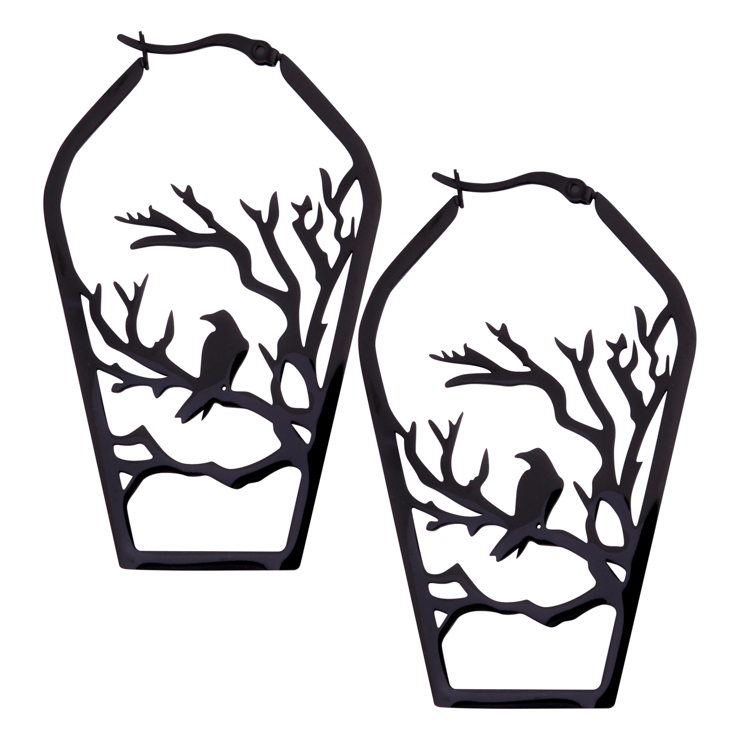 Raven Hoops Raven Hoops