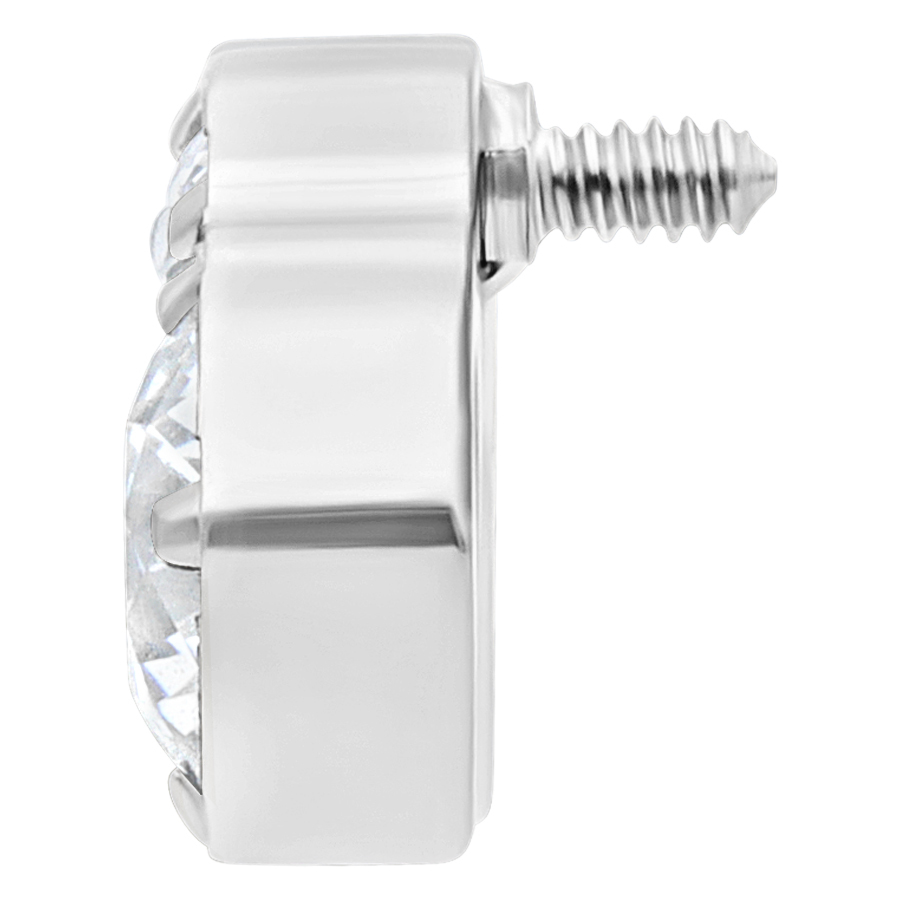 Titan Cascada Attachment for Internally Threaded Titan Cascada Attachment for Internally Threaded