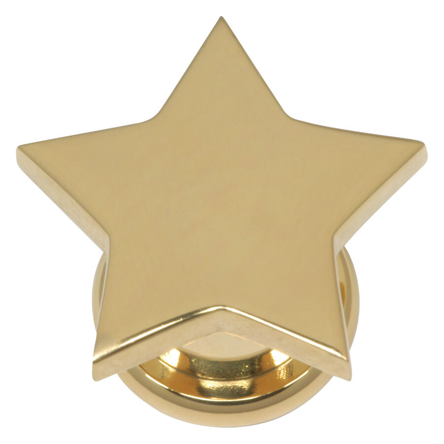 Steel Basicline® Screw Front Fleshtunnel Gold Star Steel Basicline® Screw Front Fleshtunnel Gold Star