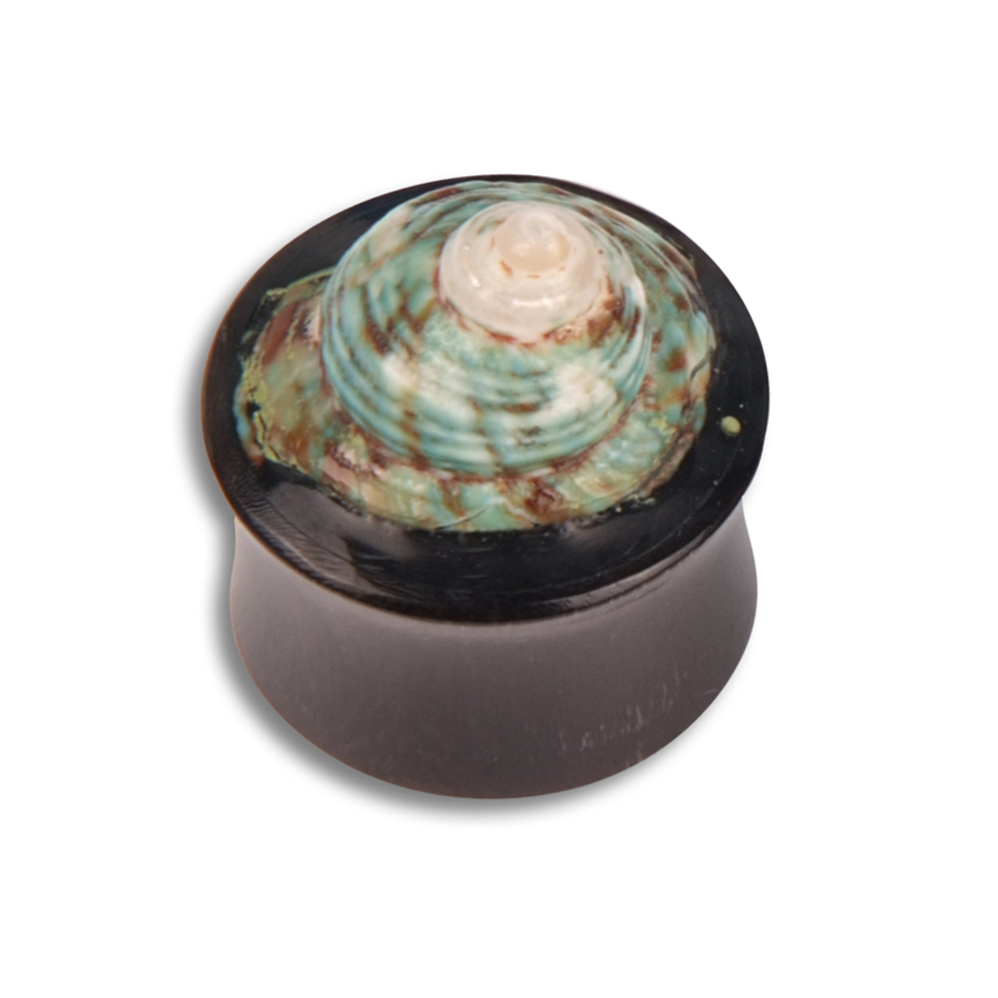 Shell Buffalo Horn Green Shell Buffalo Horn Green