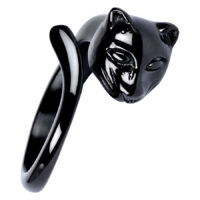 Wildcat