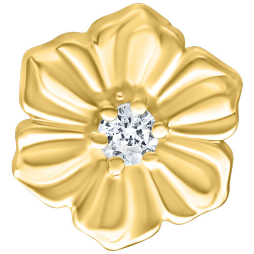 Push Fit Hibiscus Attachment  for Bioplast - Golden Metal