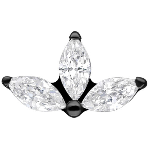 Push Fit Crystal Lotus Attachment - Black Metal