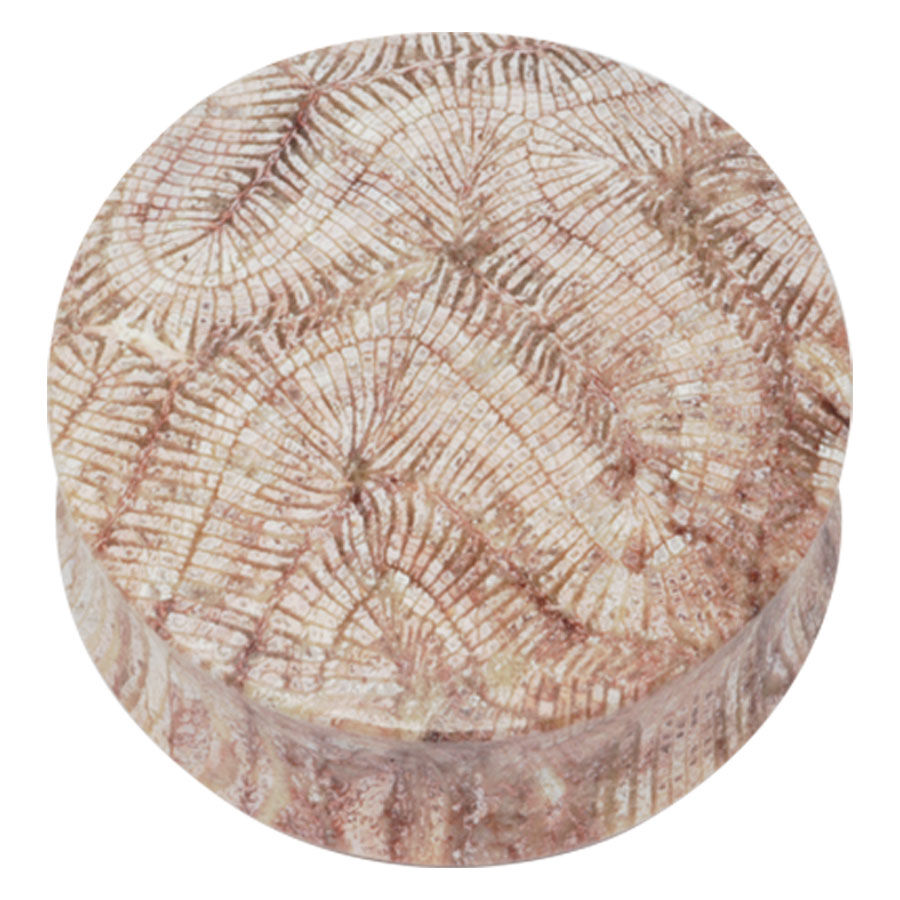 Brain Coral Plug Brain Coral Plug