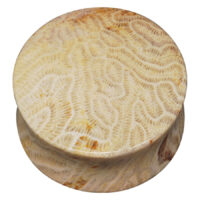Brain Coral Plug Brain Coral Plug
