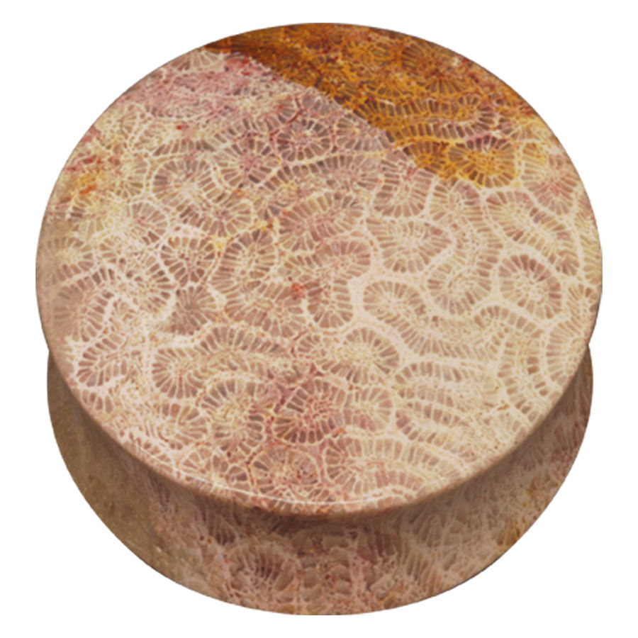 Brain Coral Plug Brain Coral Plug