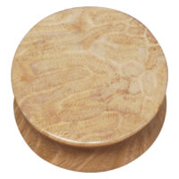 Brain Coral Plug Brain Coral Plug