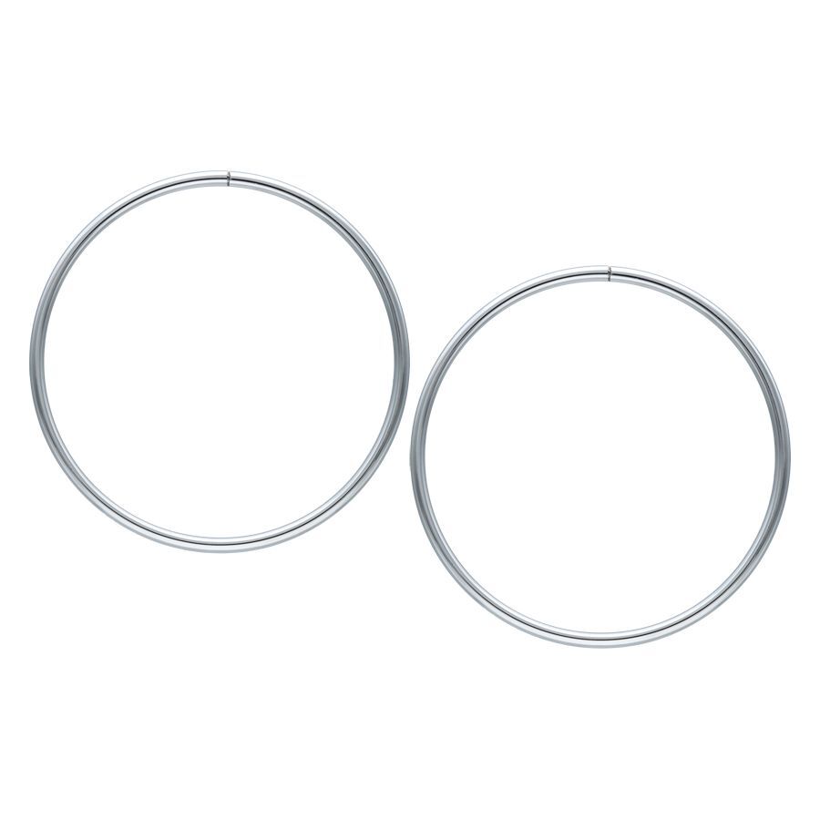 Hollowed Hoops Hollowed Hoops