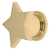 Steel Basicline® Screw Front Fleshtunnel Gold Star