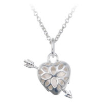 Wildcat® - Flaming Heart with Arrow