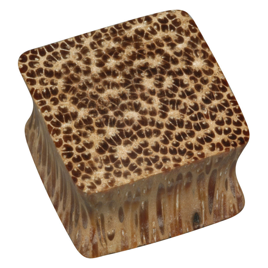 Wood Square Plug - 01 Coconut Wood Wood Square Plug - 01 Coconut Wood
