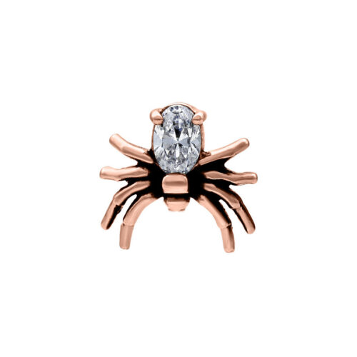 Terminale Spider per filetto Interno Acciaio