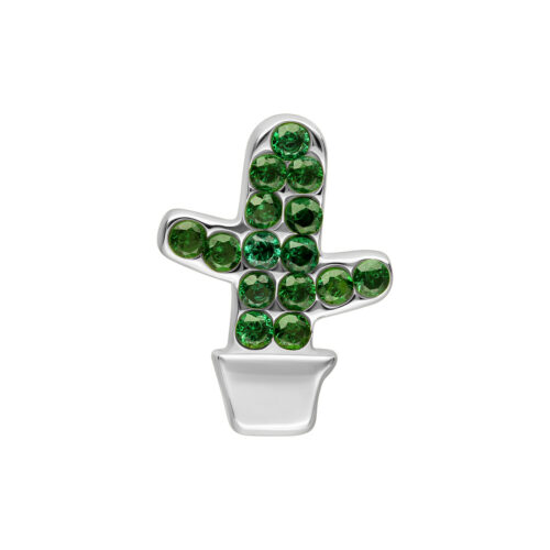 Push Fit Cactus Attachment