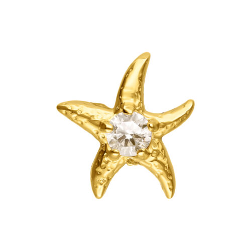 Push Fit Starfish Attachment - Golden Metal
